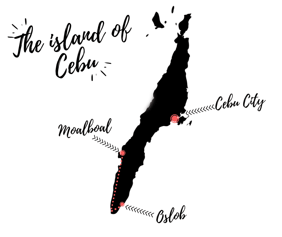 Map of Cebu - How to get from Oslob to Moalboal