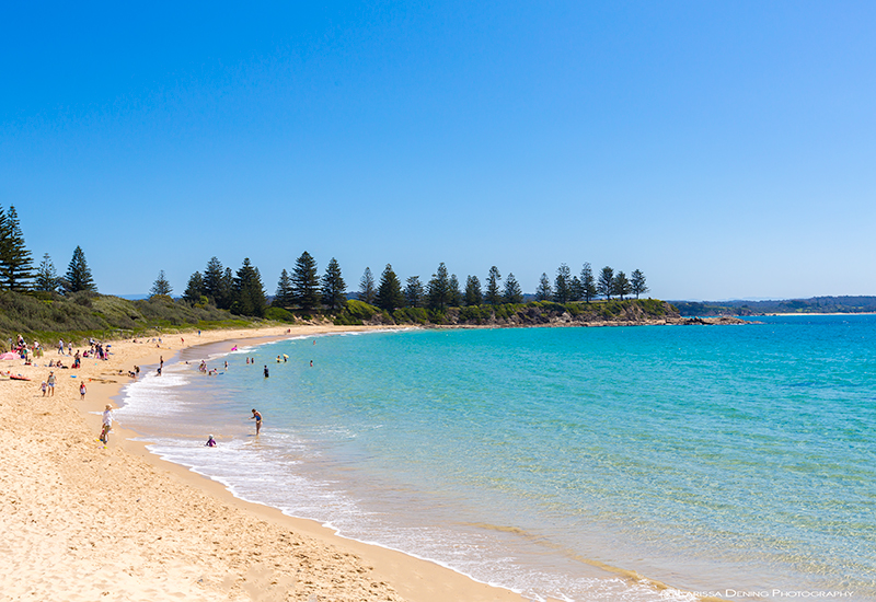 Things to do in Bermagui - Horseshoe Bay Beach