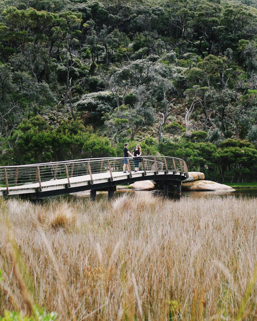 Tidal River, wilsons Promontory Guide