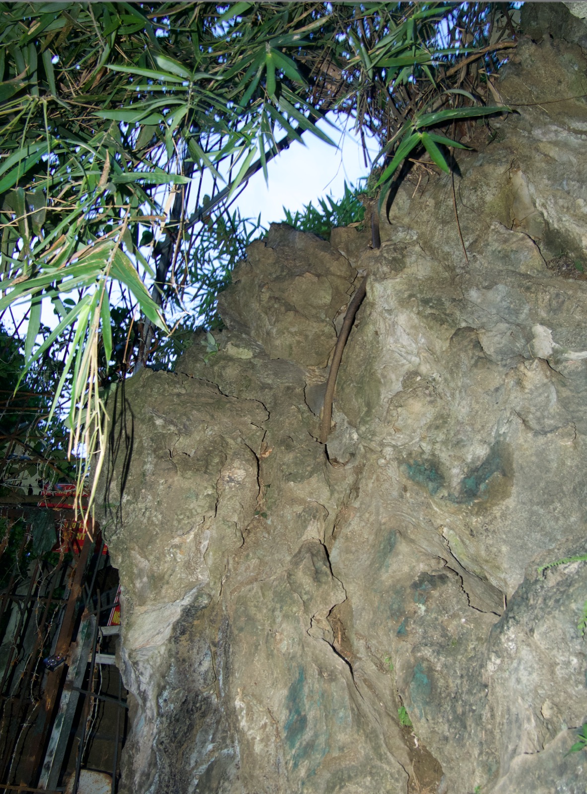 The Best Viewpoint in Halong Bay rock face