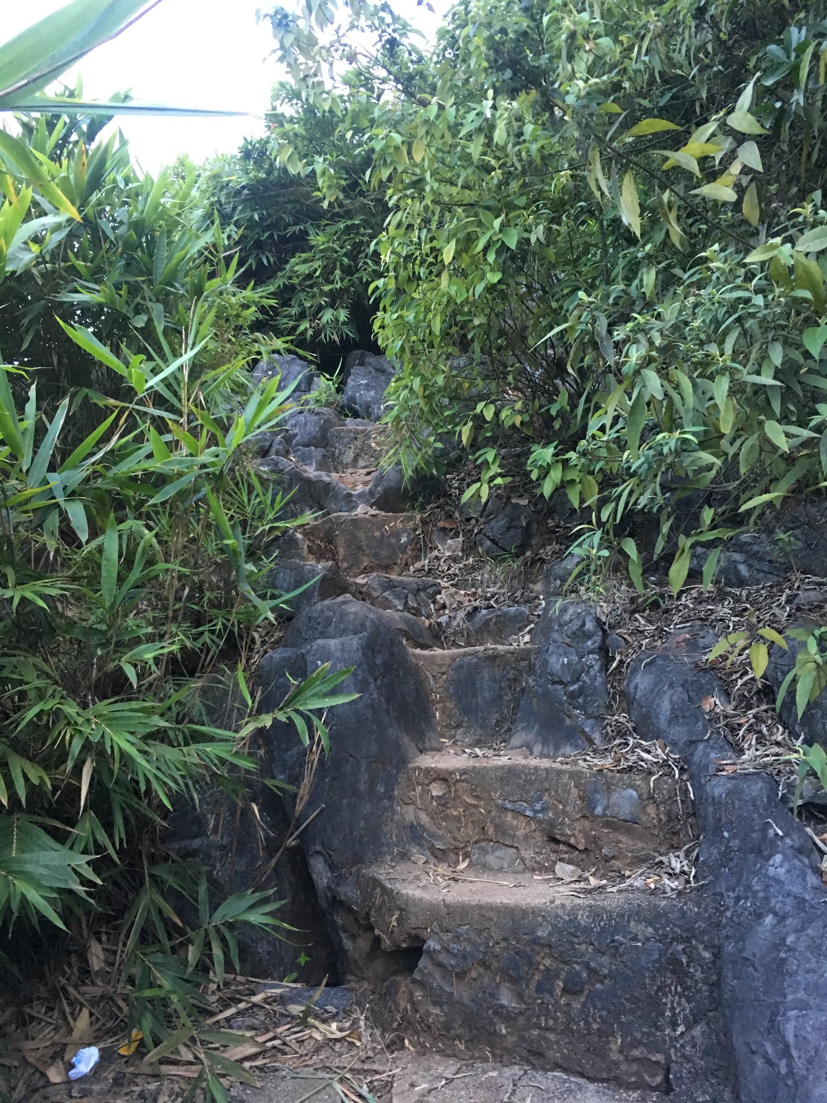 The Best Viewpoint in Halong Bay stairs