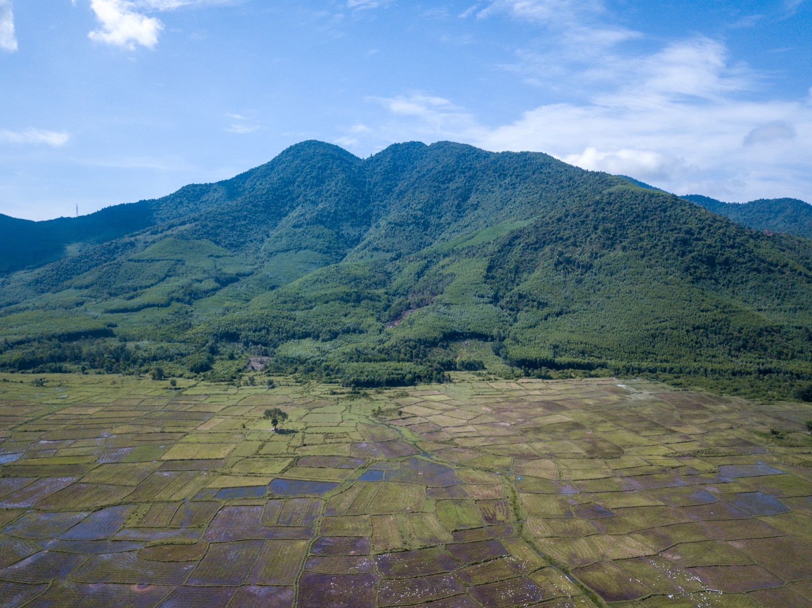 Road Trippers Vietnam
