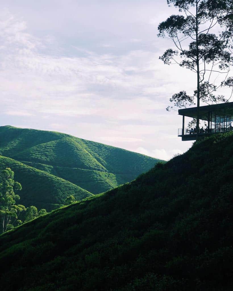 Cameron Highlands Malaysia - The Ultimate Guide and Itinerary - Boh Tea House Unexplored Footsteps