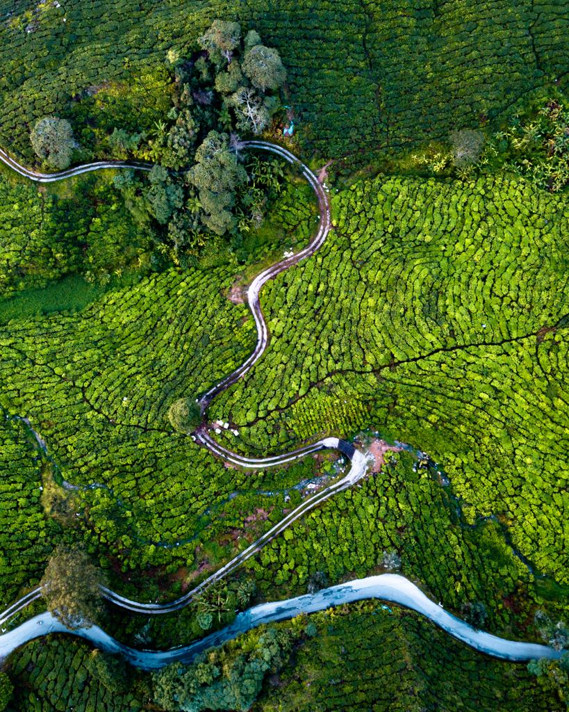 Cameron Highlands Malaysia - The Ultimate Guide and Itinerary - Jim Thompson - Unexplored Footsteps