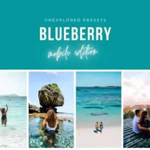 Blueberry Preset Pack – Mobile Edition