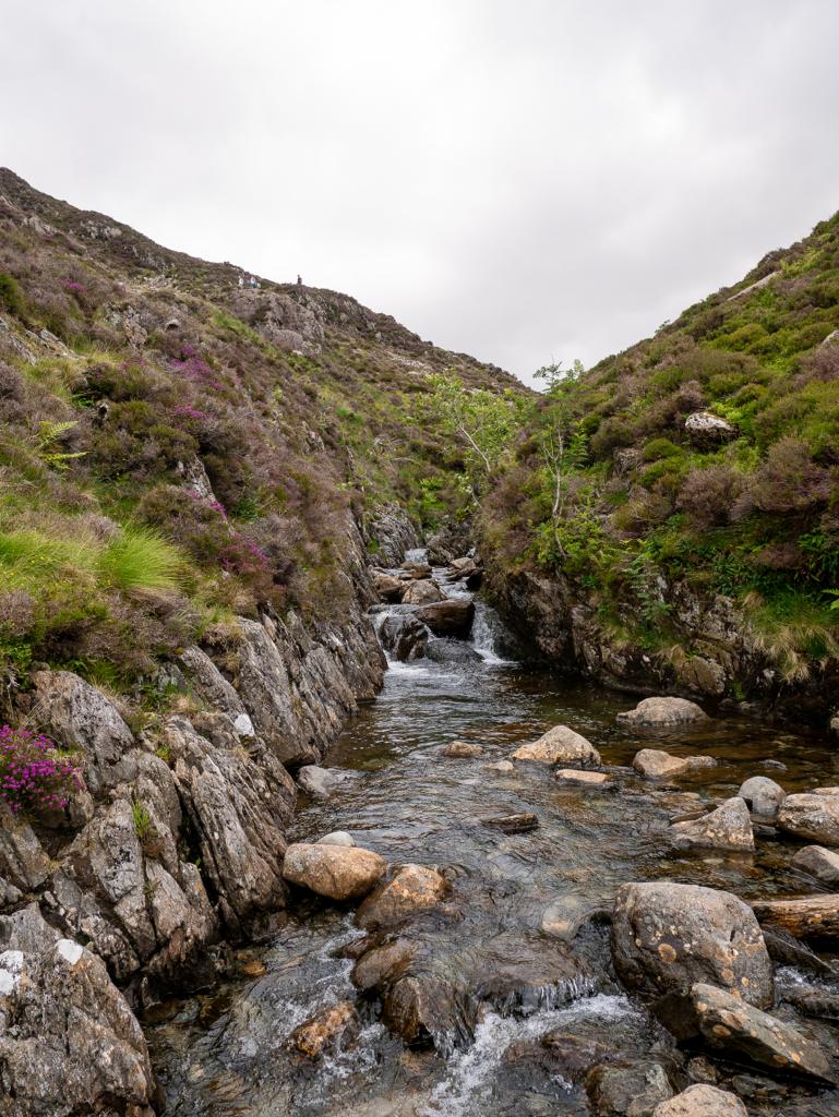 Warnscale Beck